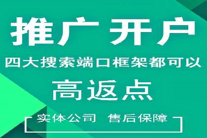 案例揭秘：SEM主管如何应对广告投放中的挑战